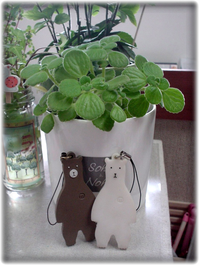 꽃보다 幹事 썸네일 이미지