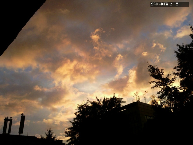 월요일 아침에 필요한 이야기 썸네일 이미지