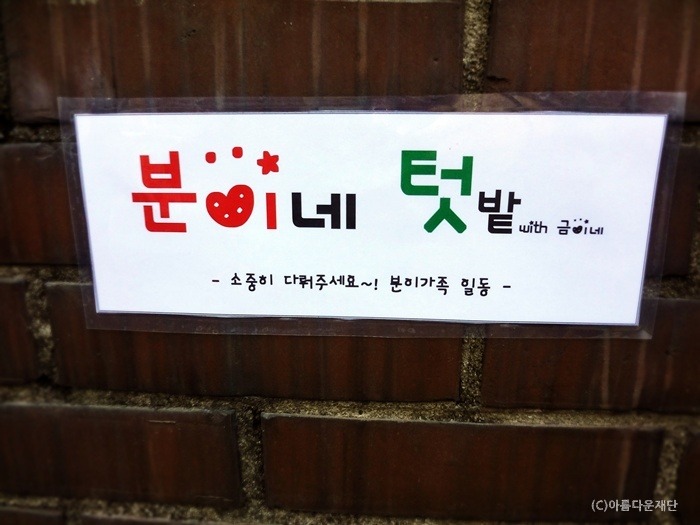 “분이네 텃밭” 만드는 날 썸네일 이미지