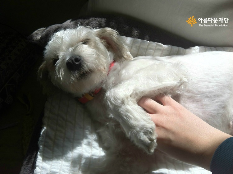 함께 걷는 연습이 필요해 썸네일 이미지