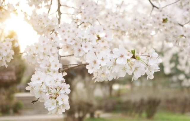 엄마는 강하다_이봄이 이른둥이 엄마의 이야기 썸네일 이미지