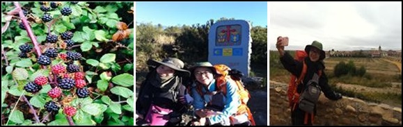 [2015 변시 재충전 이야기] 때로는 혼자, 때로는 함께 걸었던 775킬로미터! 썸네일 이미지