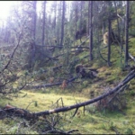 [2015 변시 재충전 이야기] 스위스부터 슬로베니아까지, 알프스 대탐험