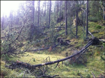 [2015 변시 재충전 이야기] 스위스부터 슬로베니아까지, 알프스 대탐험 썸네일 이미지