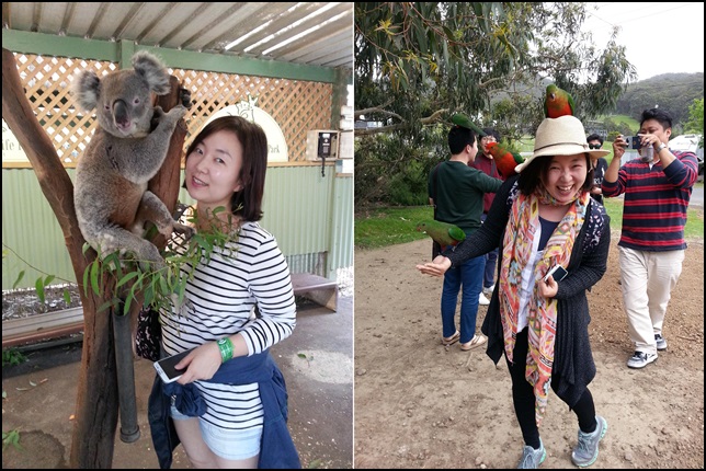 [2015 변시 재충전 이야기] 나부터 필요한 표현의 자유, 대자연에서 리셋하고파 썸네일 이미지