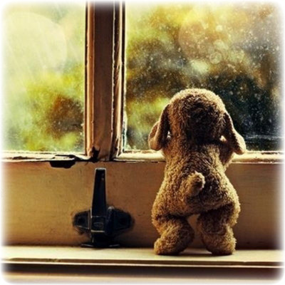 비가 오나 바람이 부나 기다리고 있습니다. 썸네일 이미지