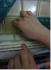 따사로운 햇살과 시원한 바람의 기운를 느끼실 수 있도록! 썸네일 이미지