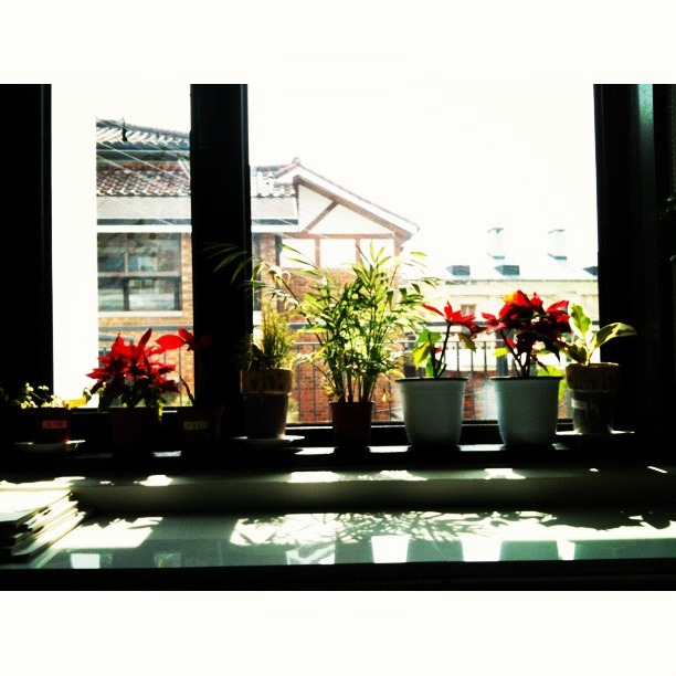 [달리아란의 사진일기#7] 무언가 시작하기에 참 좋은 봄 썸네일 이미지