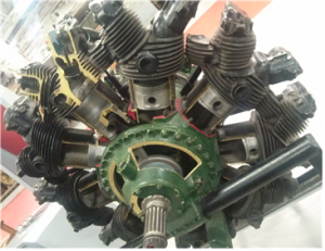 나는 하늘을 아는 개구리가 되고 싶다 썸네일 이미지