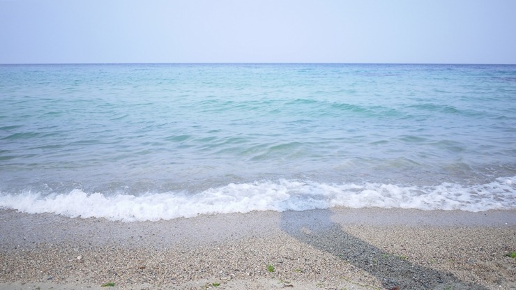 [달리아란의 사진일기#9] 그 넓고 푸르른 바다처럼 썸네일 이미지