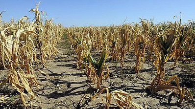 더우냐? 나도 덥다 썸네일 이미지