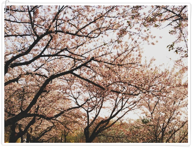 4월의 기부자님들이 남기신 이야기 ‘세상이 보다 아름다워질 수 있다는 건’ 썸네일 이미지