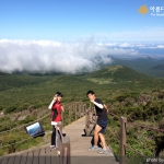 '길 위의 희망찾기' 키움 아이들과 멘토 선생님의 제주도 여행기