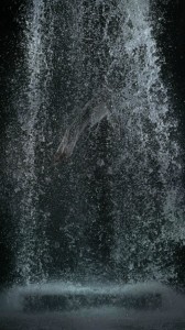 빌 비올라가 전해준 작은 1%나눔 썸네일 이미지