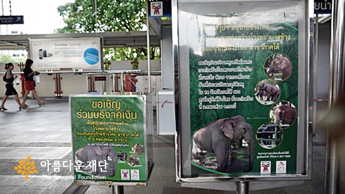 내 안의 부처를 위해 기부하는 사람들_①태국 편 썸네일 이미지