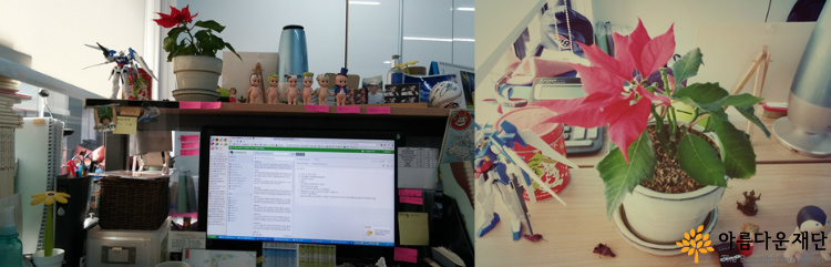 왜 아름다운재단의 식물은 다 죽는가? 썸네일 이미지