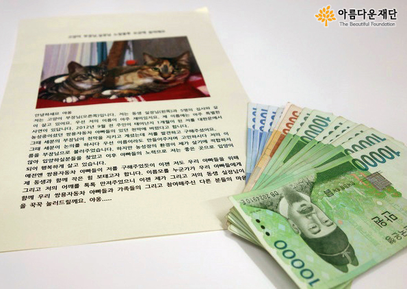 [노란봉투 캠페인] 고양이 2마리가 보내 온 편지 썸네일 이미지