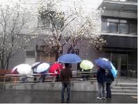 [2013 변시 이야기] ﻿﻿﻿﻿자신을 당당하게 드러내어 타인과 세대와 소통하기  – 민주화운동정신계승국민연대1 썸네일 이미지