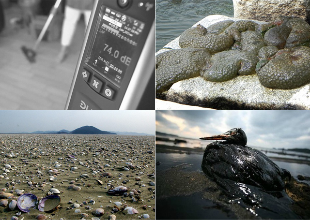 [2014 변시 이야기] 전국 성인남녀 500명에게 물었습니다 – 생태지평 썸네일 이미지