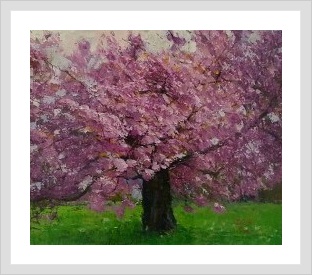 ‘나눔’ 아버지를 기억합니다 썸네일 이미지