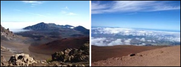 [2014 변시 재충전 이야기] 마우이 고래를 찾아서! 명랑누나들의 하와이 여행 썸네일 이미지