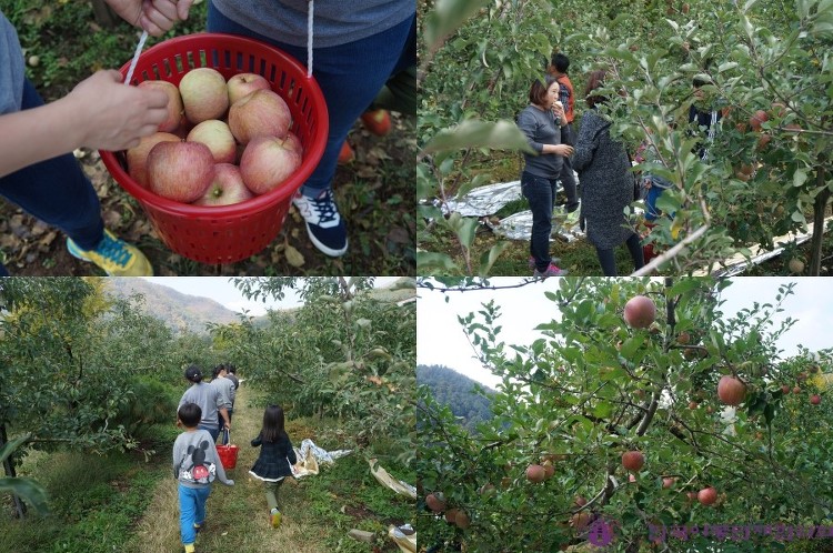 [2015 문화체험] 산과들과 함께한 문화체험활동 썸네일 이미지
