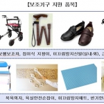 [숫자로 보는 2011 배분사업2] 2011 노인 낙상예방 보조기구 지원사업