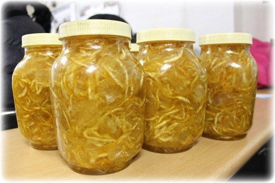 어르신들의 마음을 녹인 ‘효리표 유자차’ 썸네일 이미지