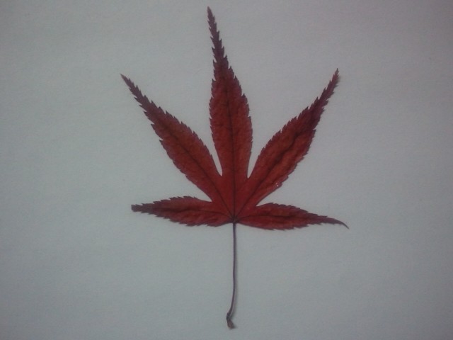 가을이다 썸네일 이미지