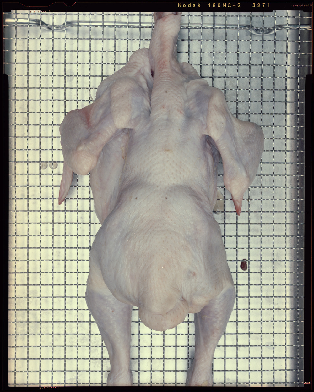 그녀를 도와야 한다는 건, 바꿀 수 있는 미래가 있다는 것! 썸네일 이미지