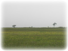 제주 올레에서 만난 사람들 썸네일 이미지