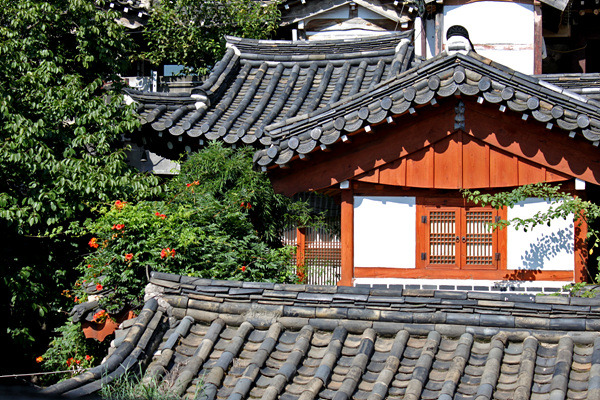 동네 자랑하는 팔불출! 북촌한옥마을의 멋진 풍경을 자랑합니다! 썸네일 이미지