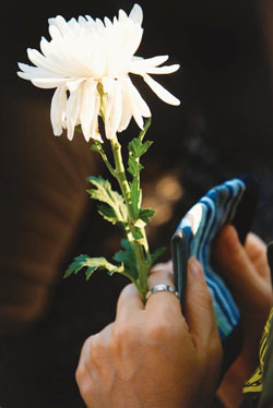 이야기 속 진짜 이야기 썸네일 이미지