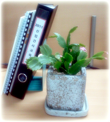 신입간사 성혜경. 2주간의 교육, 그리고… 썸네일 이미지