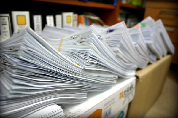 배분사업, 그 모든 것을 알려주마! 직격 인터뷰, 접수받는 선아씨 썸네일 이미지