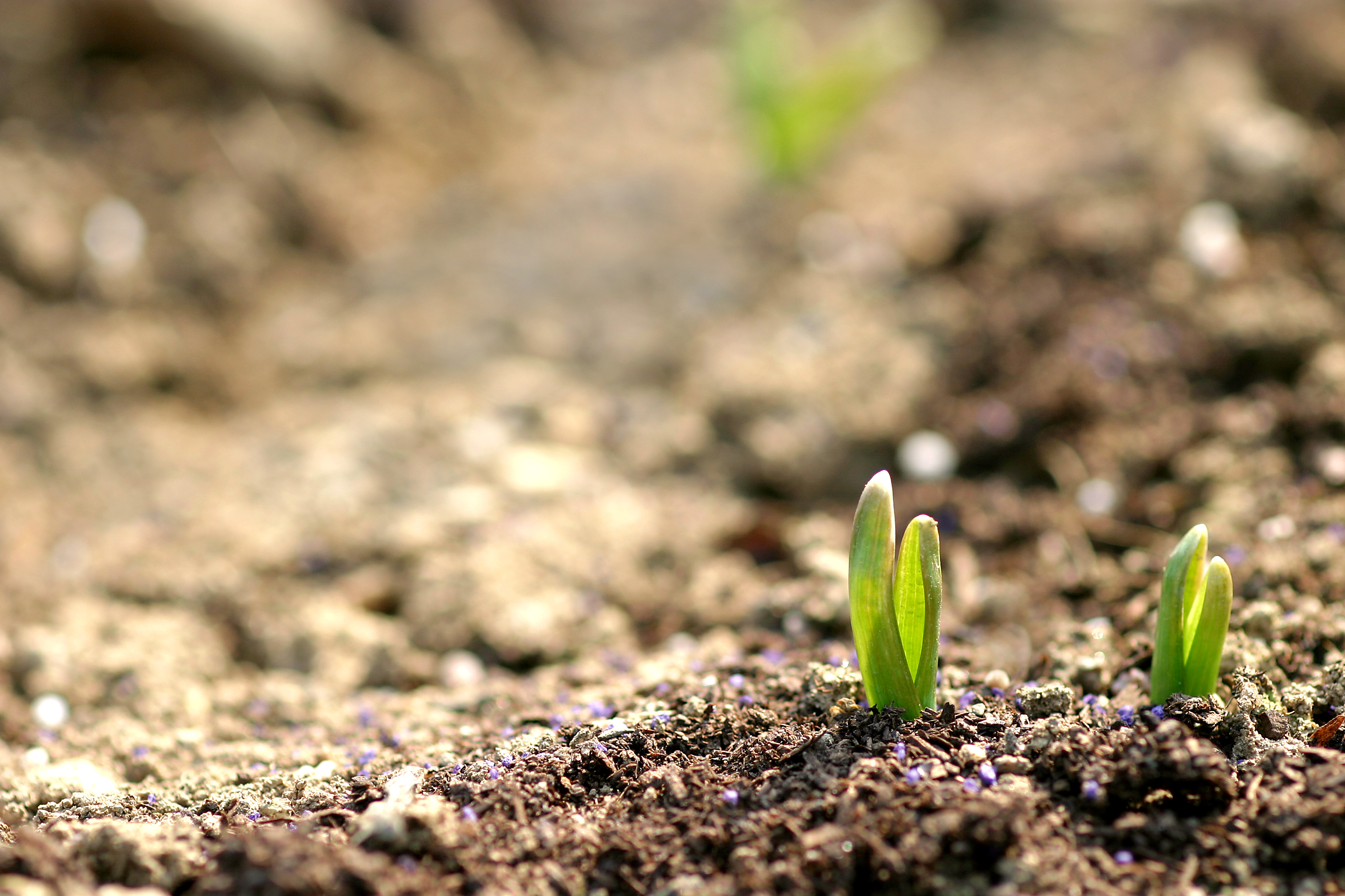 [2016 변화의 시나리오 인큐베이팅 지원사업] 공익단체 설립과 초기 활동을 돕다 썸네일 이미지