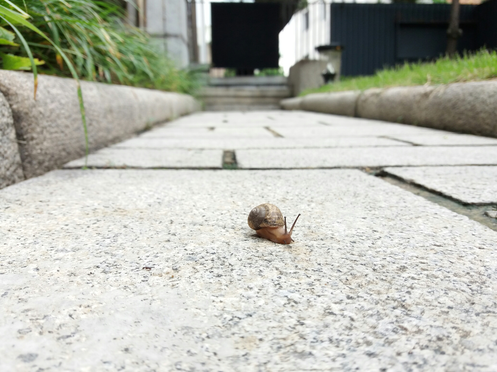 [금연이 가장 쉬웠어요-1] 하지 않는다는 것 썸네일 이미지