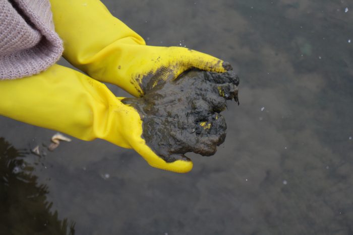 [변화의시나리오 프로젝트 A 지원사업] 4대강의 보가 열리기까지 3년을 현장에서 – 시민환경연구소 썸네일 이미지