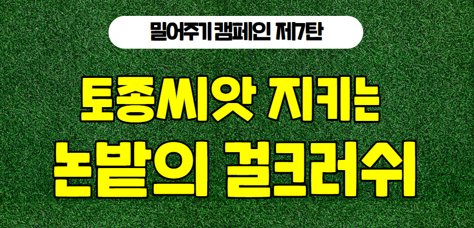 [밀어주기 캠페인] 토종씨앗 지키는 전국여성농민회총연합 썸네일 이미지