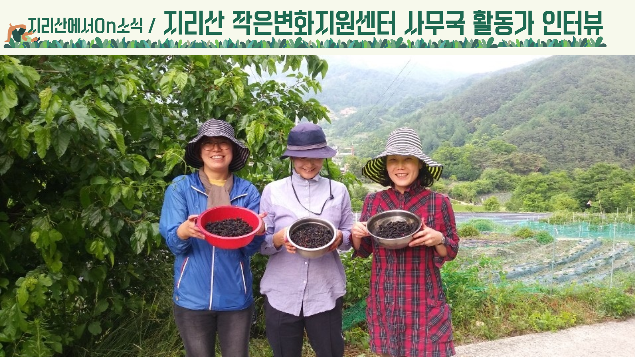 [지리산에서On소식] 나비입니다. 썸네일 이미지