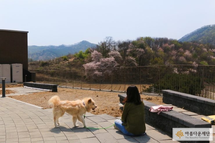 카라 더봄센터는 2020년 10월 정식으로 개관할 예정이다. 옥상정원에 있는 강아지와 사람