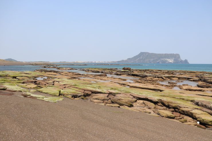 [2020 변화의시나리오 프로젝트] 사라져가는 제주도 해안사구 보전운동 – 제주환경운동연합 썸네일 이미지