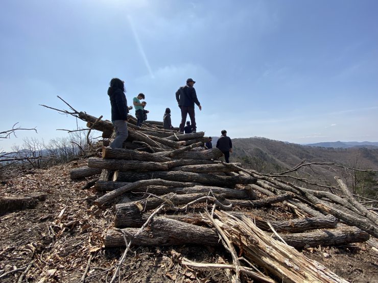 [2020 변화의시나리오 프로젝트] 생태보전과 민주적 의사결정에 기반한 재생에너지 확대방안 – 녹색연합 썸네일 이미지