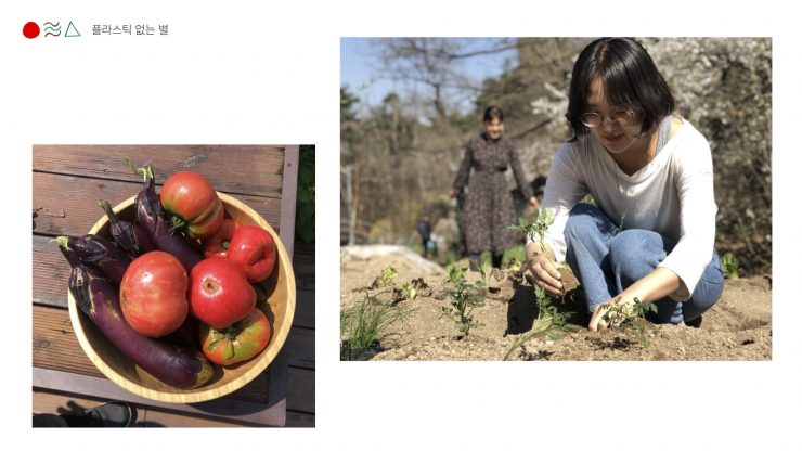 [2020 변화의시나리오 프로젝트] 지구시민들의 ‘플라스틱 없는 별’ 프로젝트 – 해밭똥 썸네일 이미지