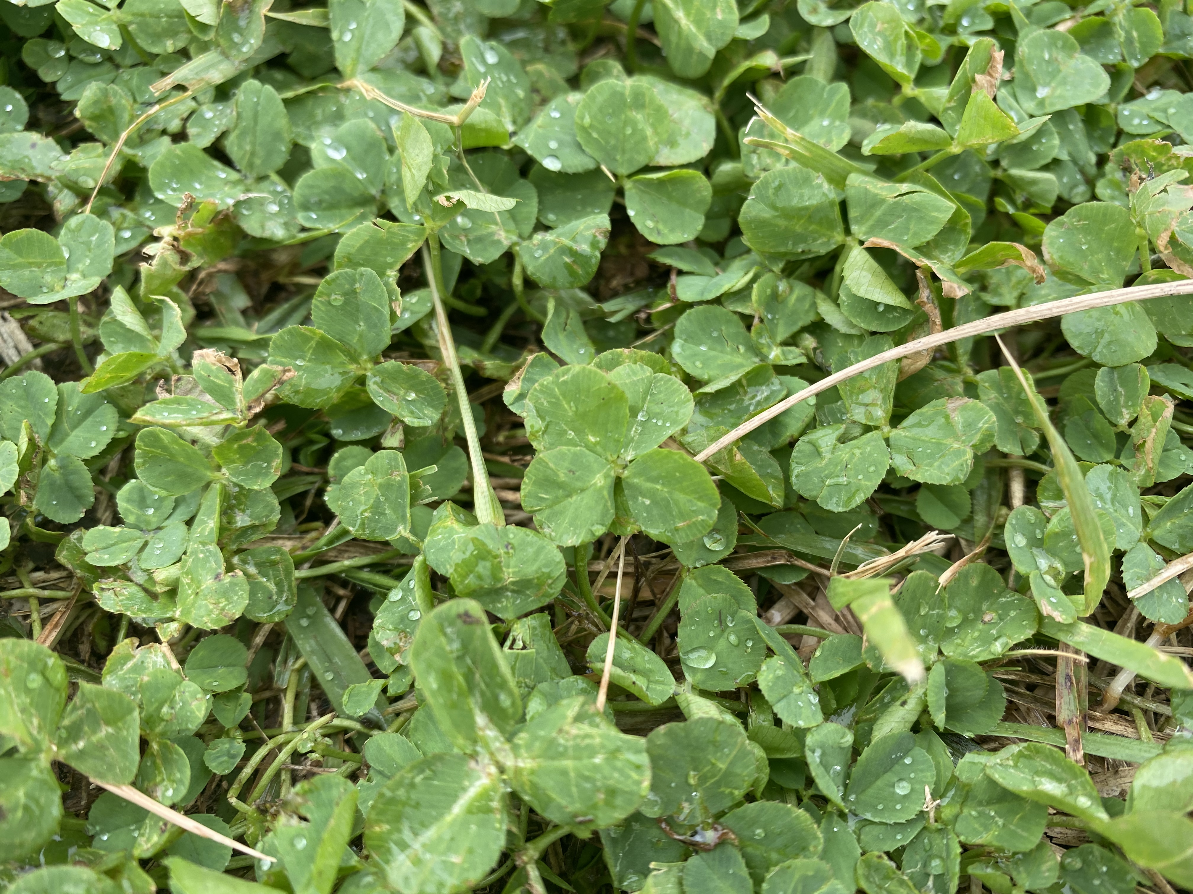 [2020 공익활동가 쉼 지원사업 후기] 쉼과 비움이 주는 성찰과 치유의 시간 썸네일 이미지