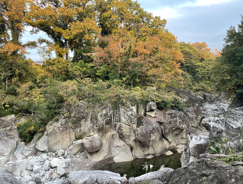 도시공원일몰제 이후, 도시공원은 어떻게 되었을까? – 생명의숲 썸네일 이미지