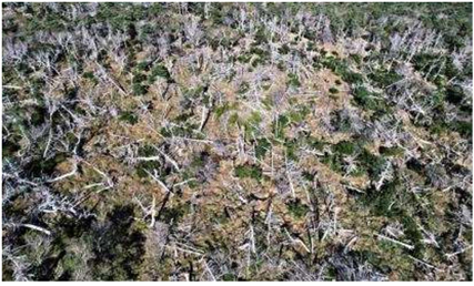 기후위기 생물다양성 시민과학 – 녹색연합 썸네일 이미지