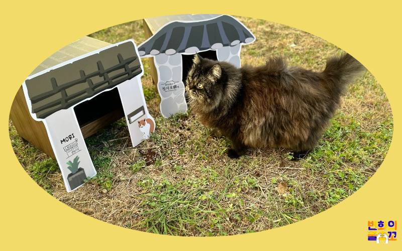 2023 변화의물꼬 지원사업 – 사람과 동물의 공존 썸네일 이미지