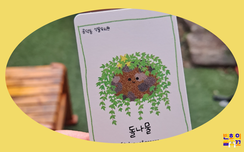 2023 변화의물꼬 지원사업 – 사람들과 함께하는 식물이야기 썸네일 이미지