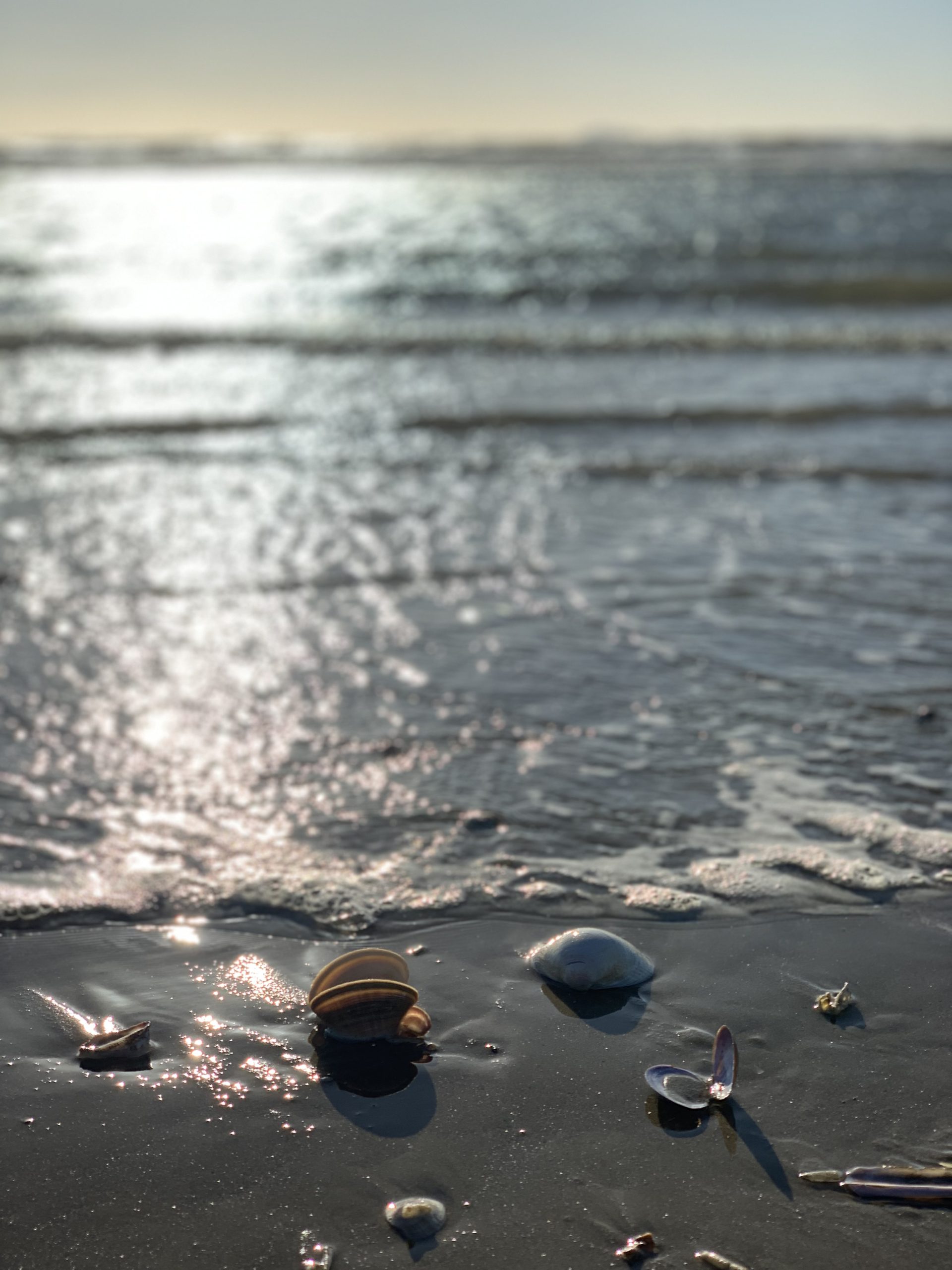 2023변화의시나리오지원사업-[세공하다] 어린이들의 인스타툰 일기장: 우리 동네 작은 모험-태안편 썸네일 이미지